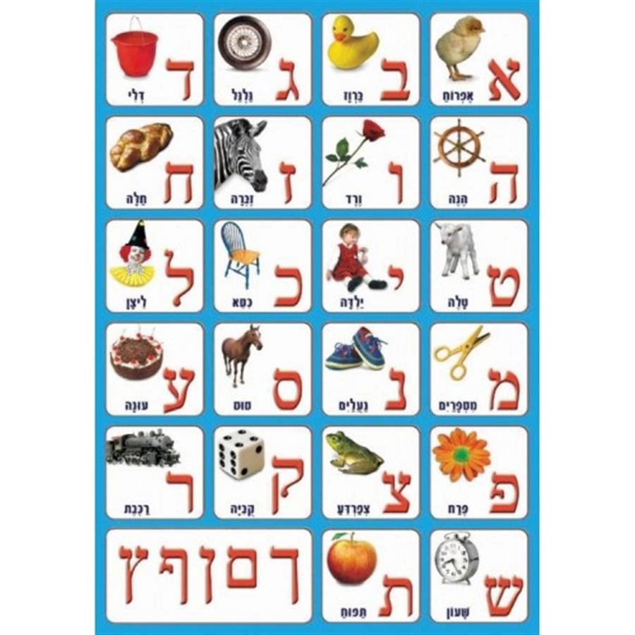 פלקט אות פותחת 50/70