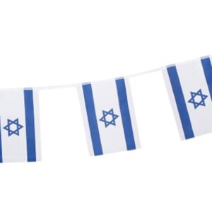 שרשרת דגלי ישראל 5 מטר מלבן 30*40