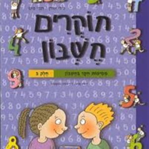 חוקרים חשבון ב