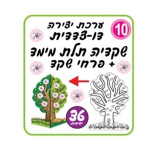 ערכת יצירה שקדיה תלת מימד 36 י"ח