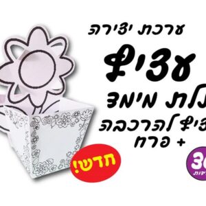 ערכת יצירה עציץ תלת מימד + פרח